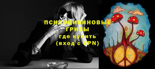 ПСИЛОЦИБИНОВЫЕ ГРИБЫ Алексеевка