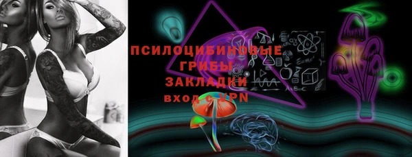 гидра Алексин
