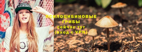 ПСИЛОЦИБИНОВЫЕ ГРИБЫ Алексеевка