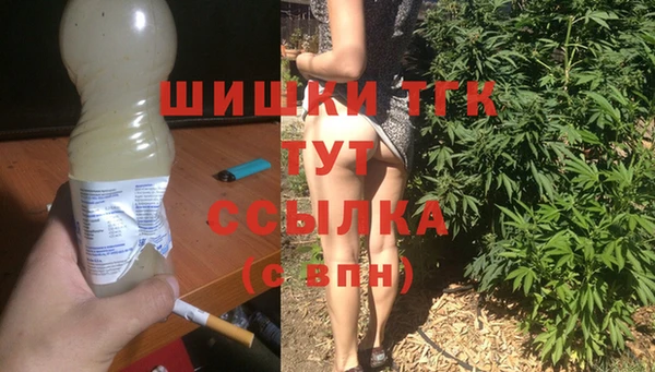 гидра Алексин